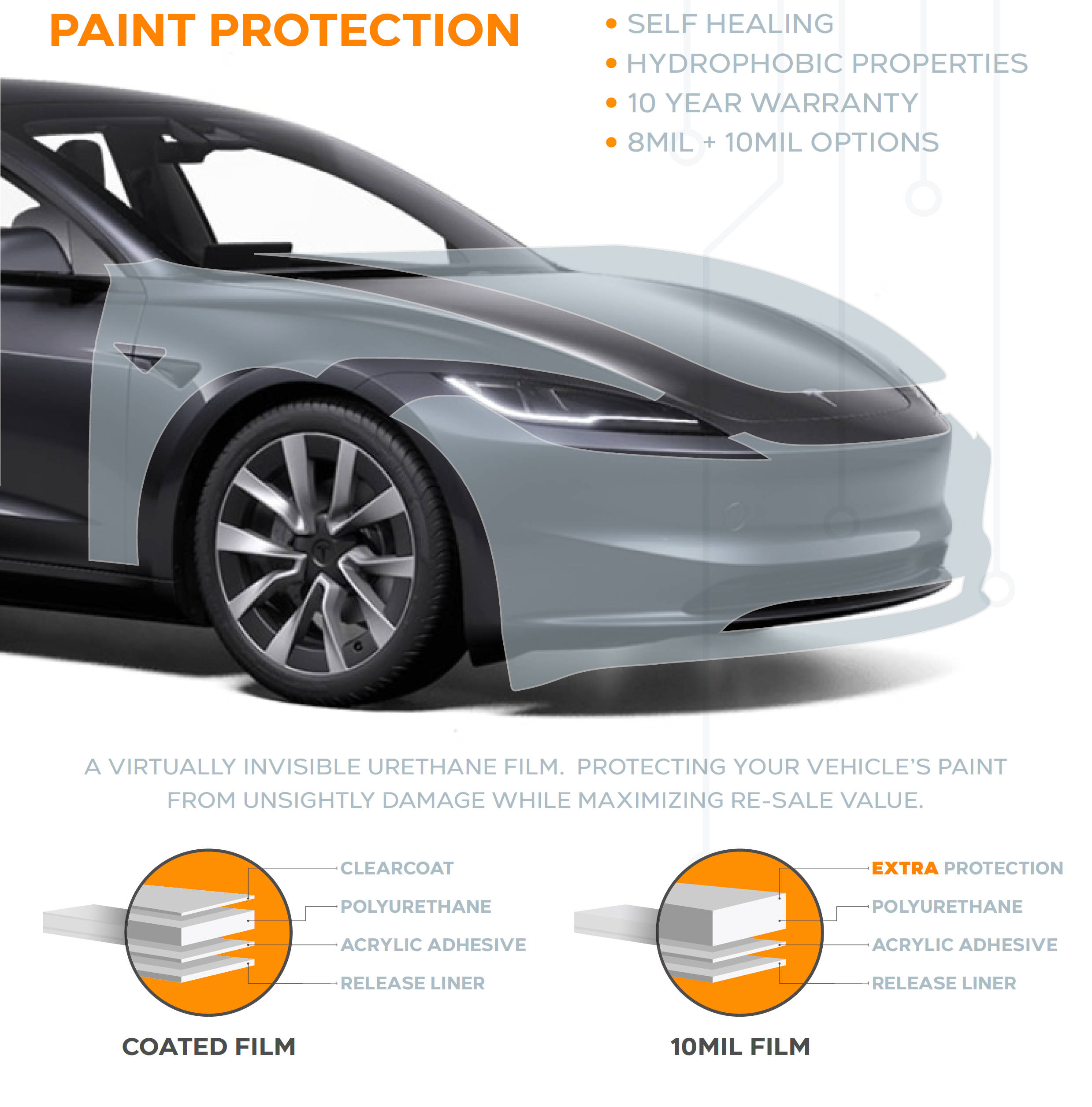 Tesla Paint Protection